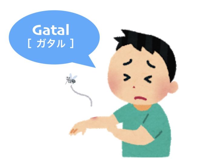 lesson1_ex6_gatal